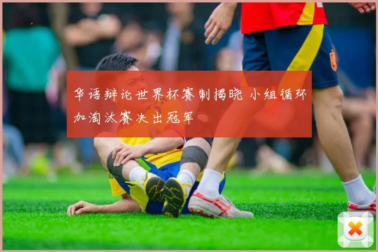 华语辩论世界杯赛制揭晓 小组循环加淘汰赛决出冠军