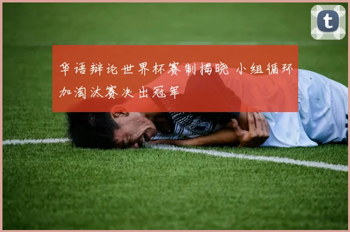华语辩论世界杯赛制揭晓 小组循环加淘汰赛决出冠军
